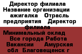 Директор филиала › Название организации ­ Zажигалка › Отрасль предприятия ­ Директор филиала › Минимальный оклад ­ 1 - Все города Работа » Вакансии   . Амурская обл.,Благовещенск г.